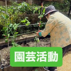 中庭で園芸もしています