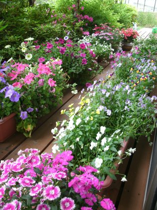 メディメゾン東月