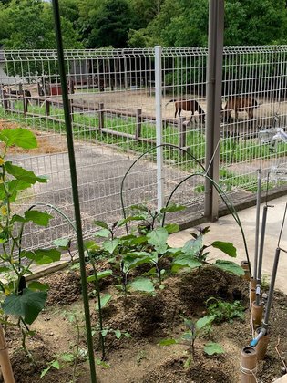 住宅型有料老人ホーム東月