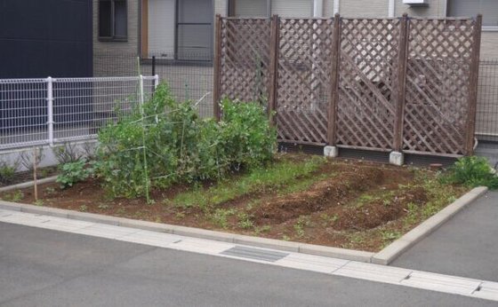 介護付有料老人ホーム シニアコートあざれあ