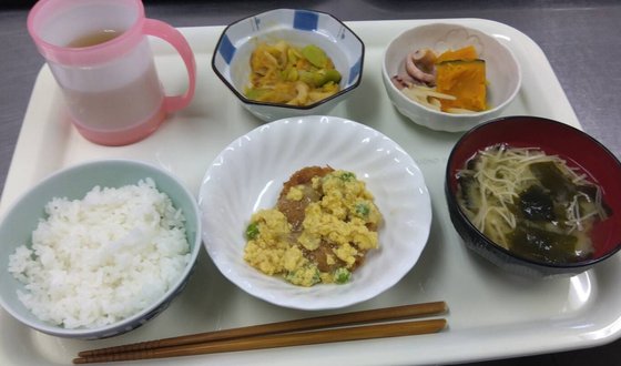 サービス付き高齢者向け住宅 『陽だまり荘Ⅱ号館』