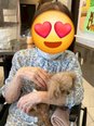 🐶 ワンちゃんとの癒し時間 🐶