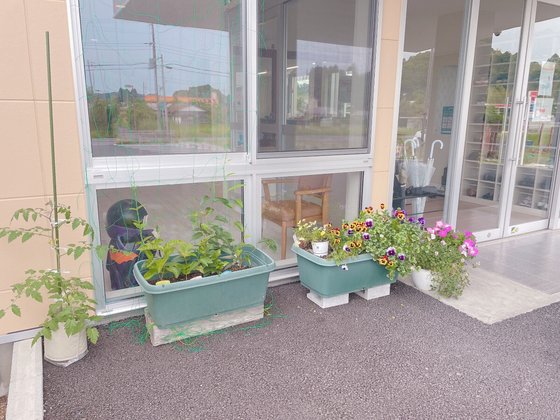 ファミリークラブあかね雲