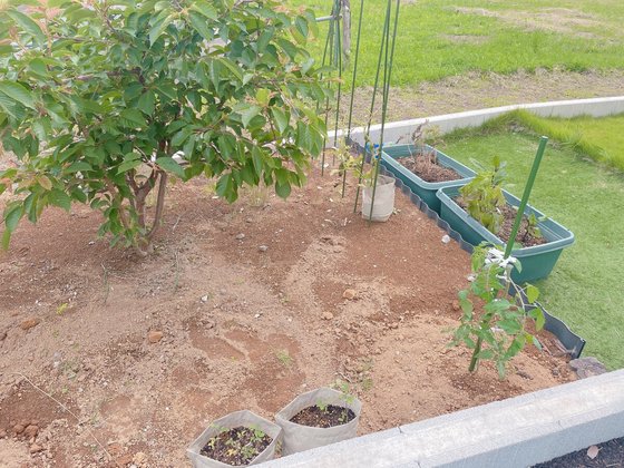 ファミリークラブあかね雲