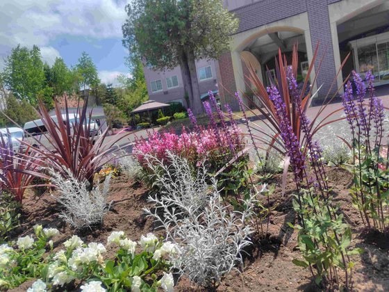 介護老人保健施設 アートヒルズ