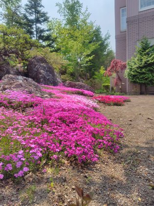 介護老人保健施設 アートヒルズ