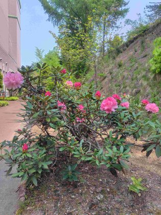 介護老人保健施設 アートヒルズ