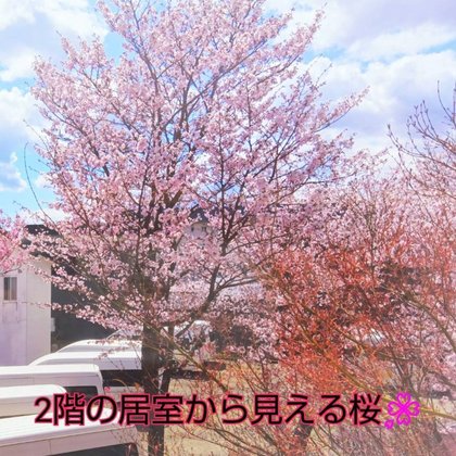 介護老人保健施設リラコート愛全