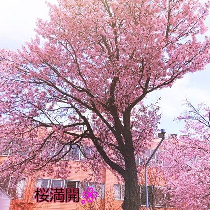 介護老人保健施設リラコート愛全