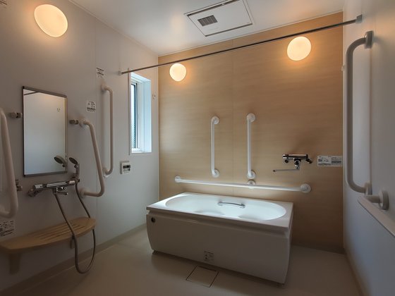 朝と海と森と 磯子栗木