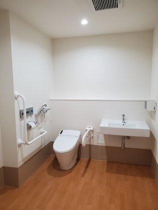 朝と海と森と 磯子栗木