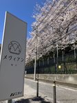 メヴィアン柴又