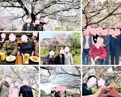 桜満開🌸お花見ウィーク