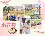 お花見🌸