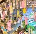 七夕☆星に願いを込めて