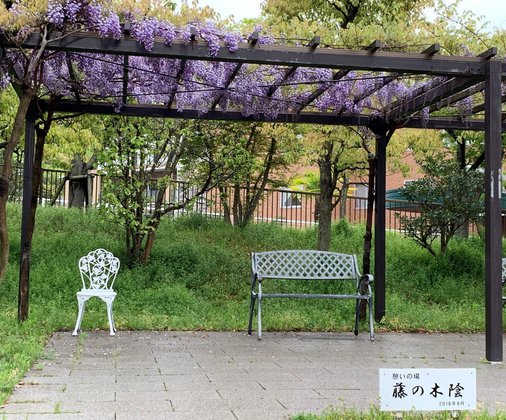 エリーネス須磨