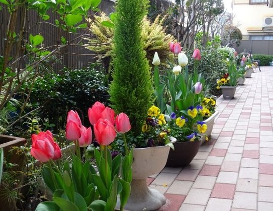 エリーネス須磨 介護の家