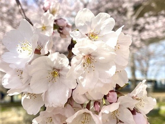 エリーネス須磨 介護の家