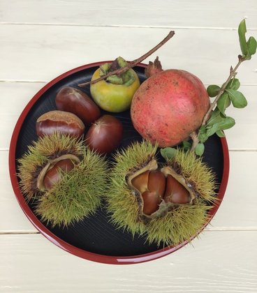 エリーネス須磨 介護の家