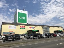 隣地の大型生協です。