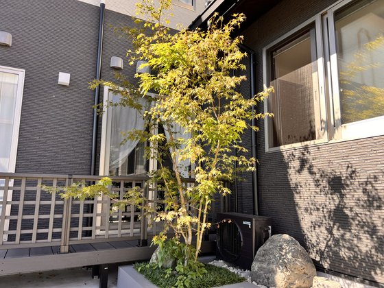 サンクラッソみき