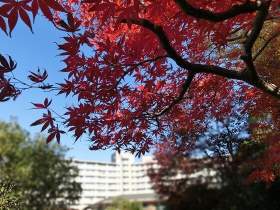 パークヴィラ陽春館