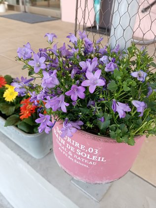 癌/神経難病特化 ナーシングホスピス堺上野芝