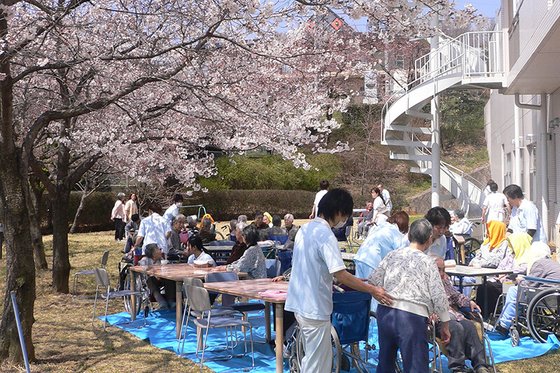 チェリーガーデン