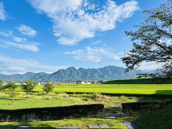 チェリーガーデン