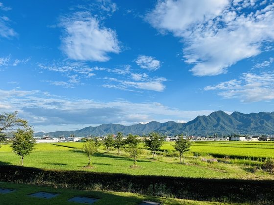 チェリーガーデン