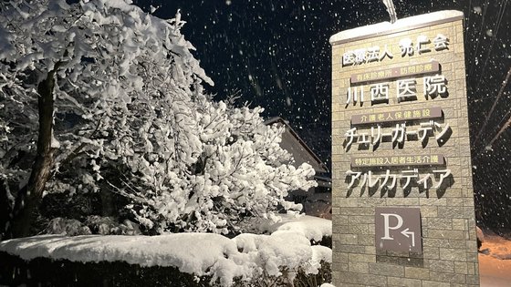 チェリーガーデン