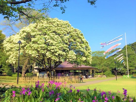 麗しの杜 光ヶ丘