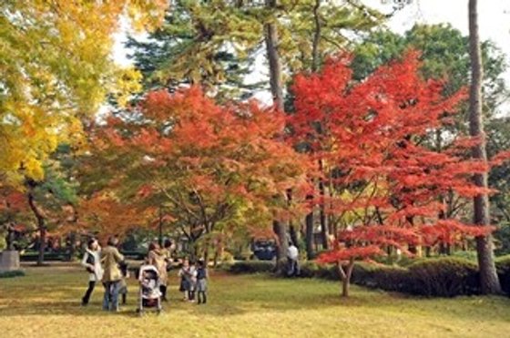 麗しの杜 光ヶ丘