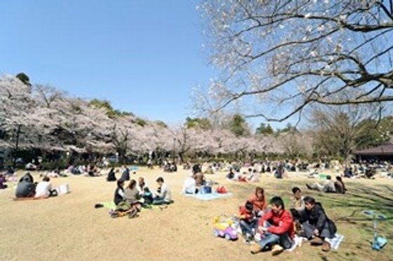 麗しの杜 光ヶ丘