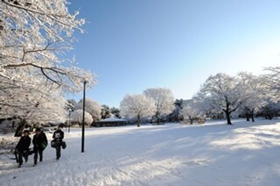 麗しの杜 光ヶ丘