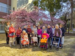 河津桜が咲きました🌸