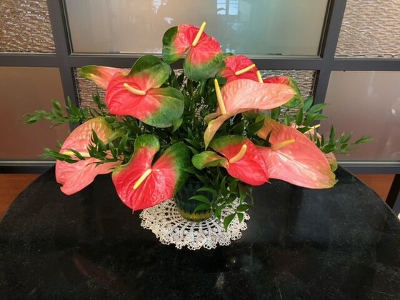 オペラガーデン湘南・二宮