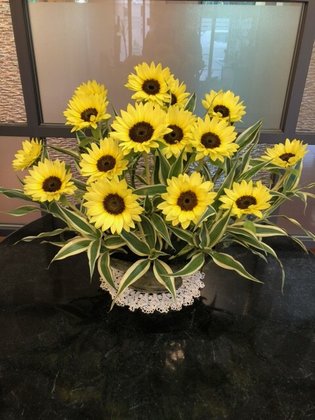 オペラガーデン湘南・二宮