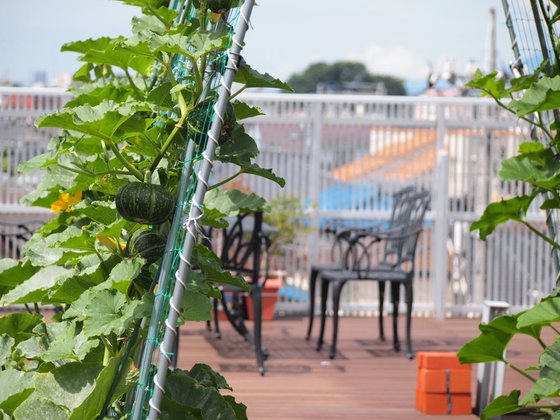 ウイーザス荻窪