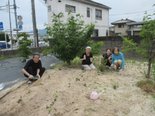 さつまいも植え