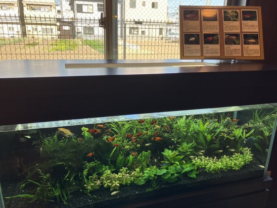 パリアティブケアホームはなの楠根