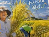 ケアハウスれんげ荘