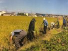 ケアハウスれんげ荘