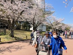 お花見に行ってきました!