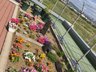 れんげ荘プラネットホーム