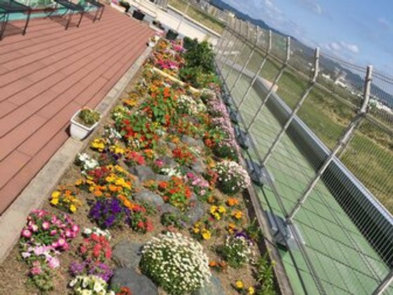 れんげ荘プラネットハウス