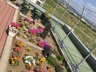 れんげ荘プラネットハウス