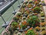 れんげ荘プラネットハウス