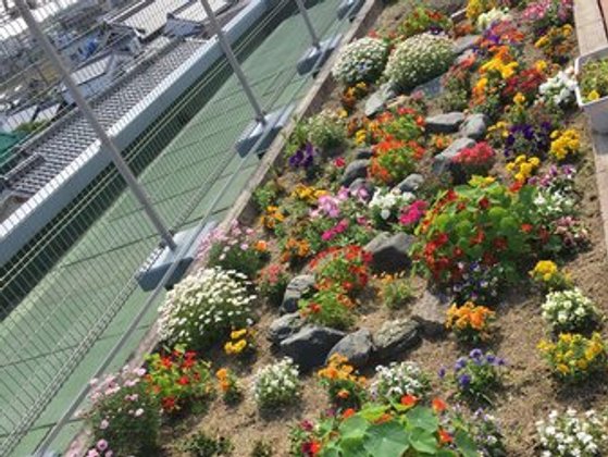 れんげ荘プラネットハウス