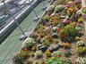 れんげ荘プラネットハウス
